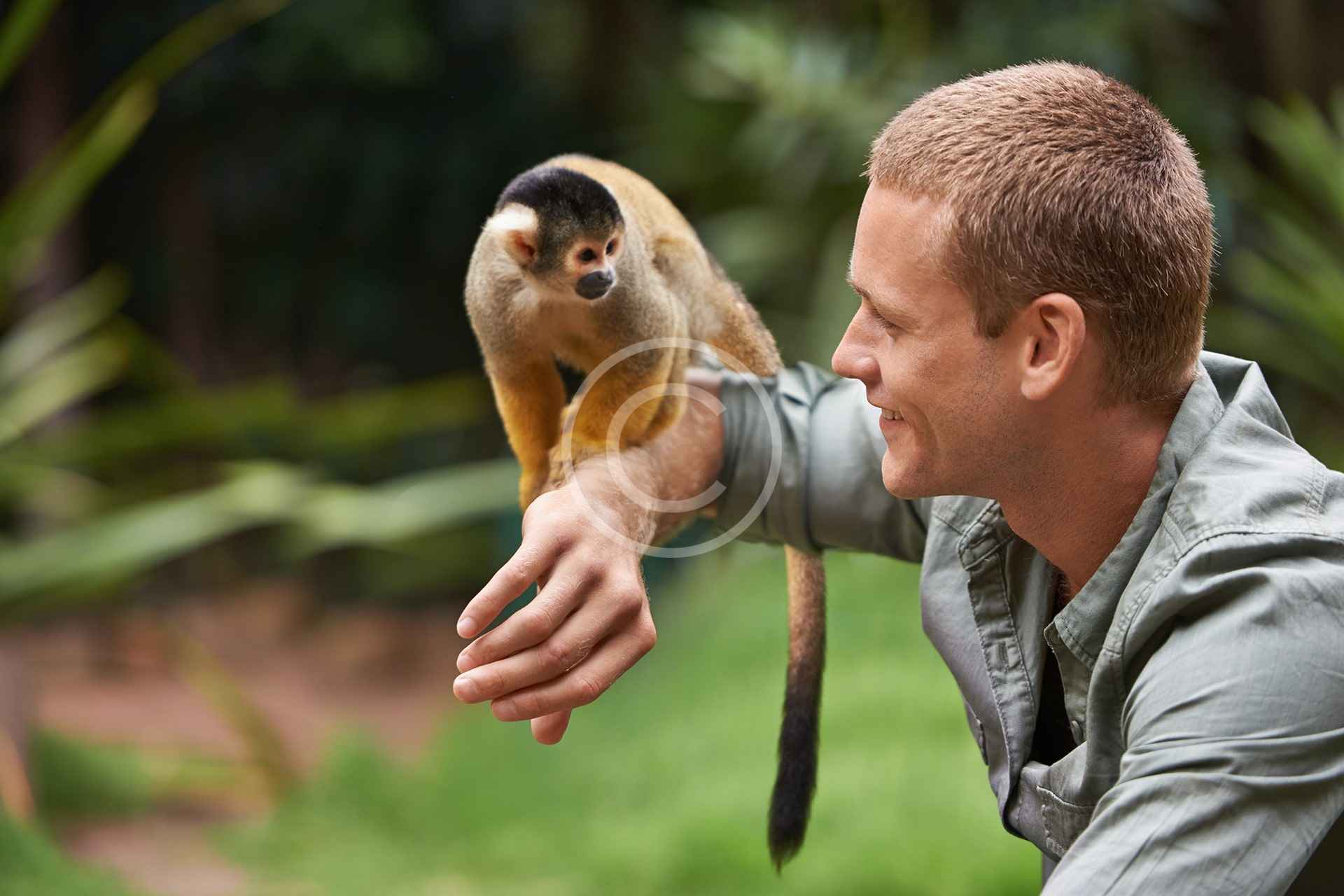 10 Most Endangered Animals in 2019 Olami Center Montreal